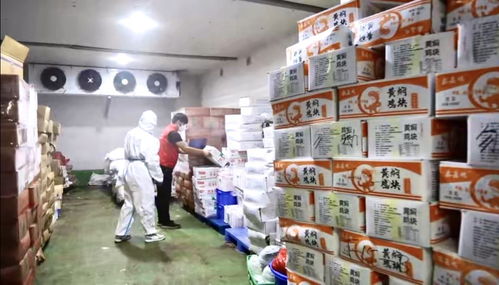 鄭州富士康加強自愿留廠員工保障，團購服務助力高效抗疫